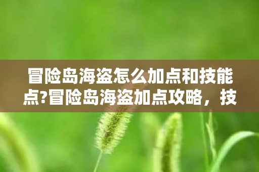 冒险岛海盗怎么加点和技能点?冒险岛海盗加点攻略，技能与属性分配指南