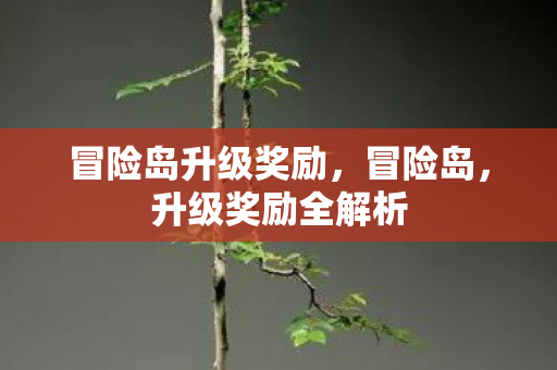 冒险岛升级奖励，冒险岛，升级奖励全解析