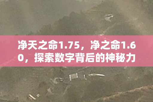 净天之命1.75，净之命1.60，探索数字背后的神秘力量