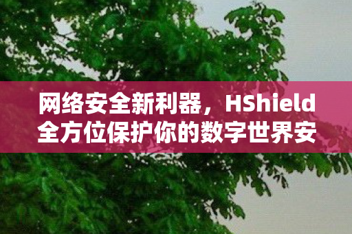 网络安全新利器，HShield全方位保护你的数字世界安全
