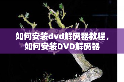 如何安装dvd解码器教程，如何安装DVD解码器
