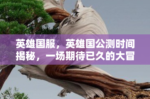 英雄国服，英雄国公测时间揭秘，一场期待已久的大冒险即将开启！