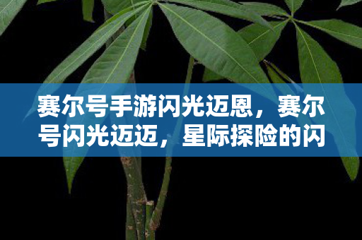 赛尔号手游闪光迈恩，赛尔号闪光迈迈，星际探险的闪耀新星