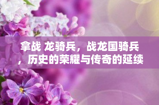 拿战 龙骑兵，战龙国骑兵，历史的荣耀与传奇的延续