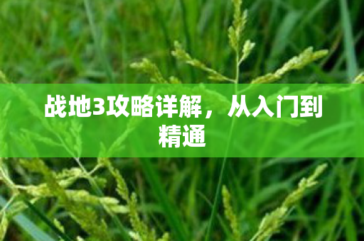 战地3攻略详解，从入门到精通