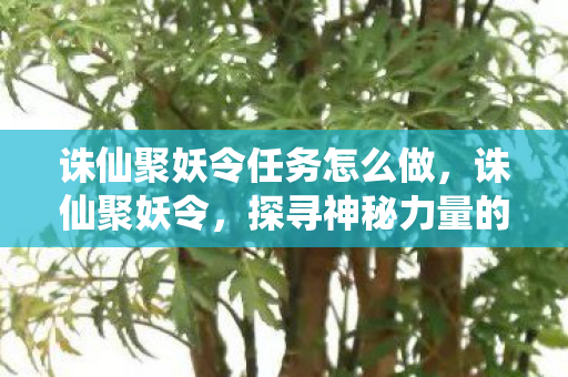 诛仙聚妖令任务怎么做，诛仙聚妖令，探寻神秘力量的起源与传承