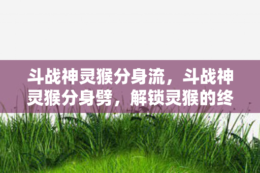 解锁灵猴的终极奥义图片