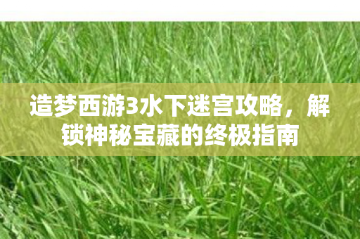 造梦西游3水下迷宫攻略图片