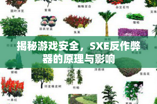 SXE反作弊器的原理与影响图片