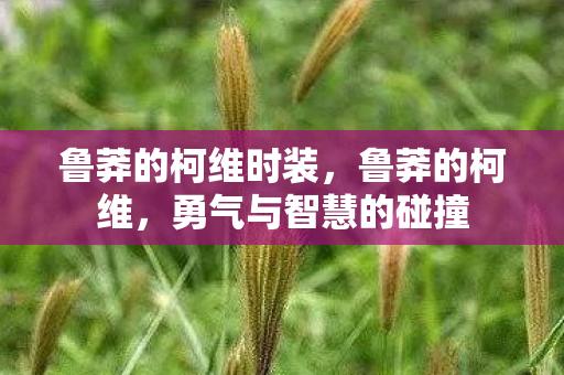 鲁莽的柯维时装,鲁莽的柯维,勇气与智慧的碰撞 鲁莽的柯维时装,鲁莽的柯维,勇气与智慧的碰撞