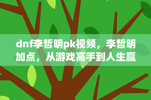dnf李哲明pk视频，李哲明加点，从游戏高手到人生赢家的智慧之路