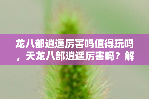 龙八部逍遥厉害吗值得玩吗,天龙八部逍遥厉害吗?解析逍遥派在游戏中的强势与弱点 龙八部逍遥厉害吗值得玩吗,天龙八部逍遥厉害吗?解析逍遥派在游戏中的强势与弱点