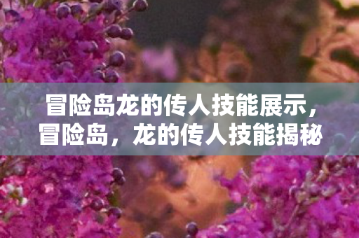冒险岛龙的传人技能展示，冒险岛，龙的传人技能揭秘