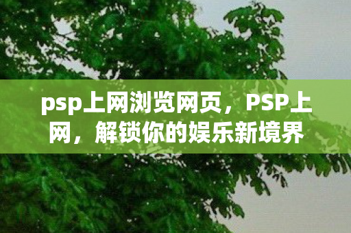 psp上网浏览网页，PSP上网，解锁你的娱乐新境界