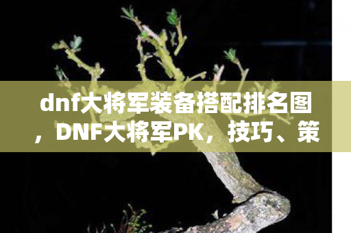 dnf大将军装备搭配排名图，DNF大将军PK，技巧、策略与实战心得