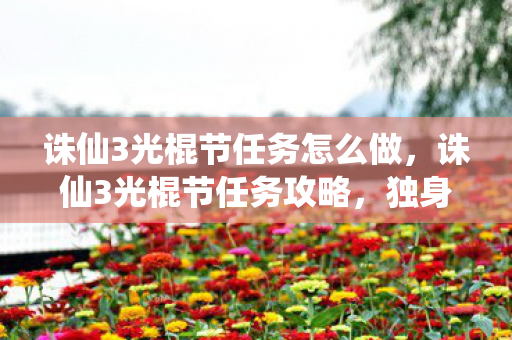 诛仙3光棍节任务怎么做，诛仙3光棍节任务攻略，独身的狂欢与游戏的盛宴