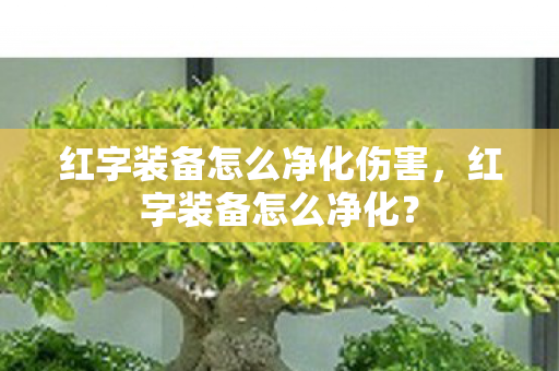 红字装备怎么净化伤害,红字装备怎么净化? 红字装备怎么净化伤害,红字装备怎么净化?