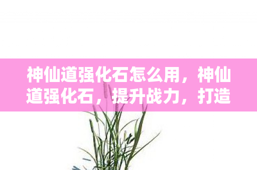 神仙道强化石怎么用，神仙道强化石，提升战力，打造无敌阵容的必备神器