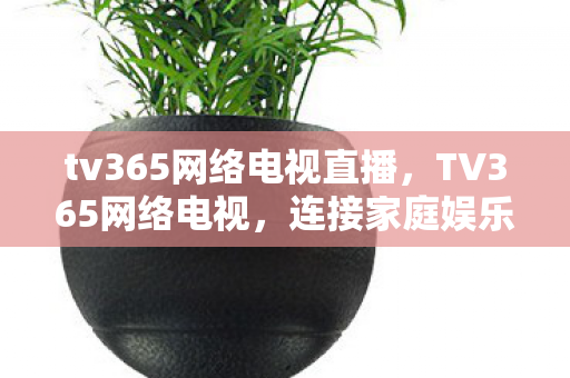 tv365网络电视直播,TV365网络电视,连接家庭娱乐的新窗口 tv365网络电视直播,TV365网络电视,连接家庭娱乐的新窗口