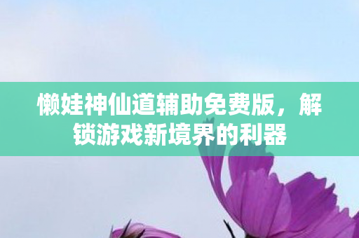 懒娃神仙道辅助免费版，解锁游戏新境界的利器