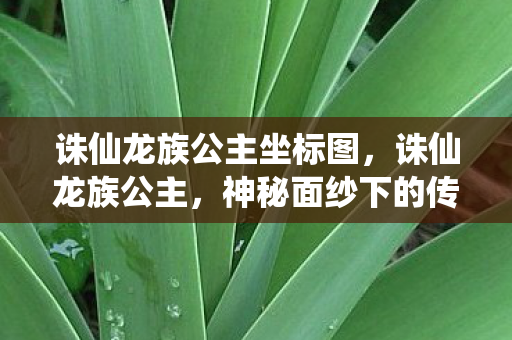 诛仙龙族公主坐标图，诛仙龙族公主，神秘面纱下的传奇人生