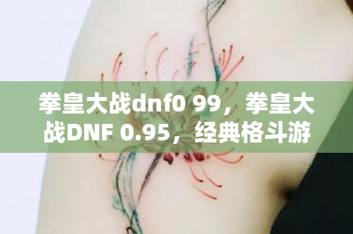 拳皇大战dnf0 99，拳皇大战DNF 0.95，经典格斗游戏的跨界对决