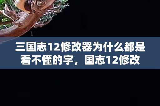 三国志12修改器为什么都是看不懂的字,国志12修改器不能用?原因与解决方案详解 三国志12修改器为什么都是看不懂的字,国志12修改器不能用?原因与解决方案详解