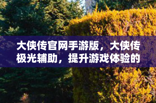 大侠传官网手游版，大侠传极光辅助，提升游戏体验的神奇工具