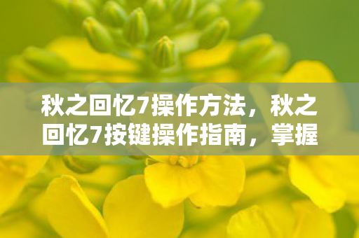 秋之回忆7操作方法，秋之回忆7按键操作指南，掌握游戏精髓的秘诀