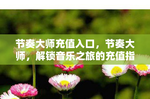 节奏大师充值入口，节奏大师，解锁音乐之旅的充值指南