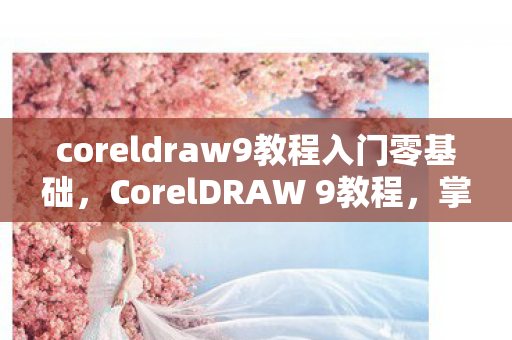coreldraw9教程入门零基础，CorelDRAW 9教程，掌握矢量图形设计的基础工具