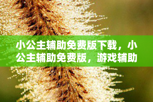 小公主辅助免费版下载,小公主辅助免费版,游戏辅助工具的正确使用与注意事项 小公主辅助免费版下载,小公主辅助免费版,游戏辅助工具的正确使用与注意事项