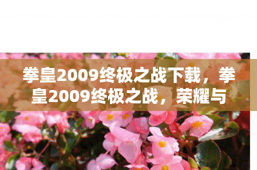 拳皇2009终极之战下载,拳皇2009终极之战,荣耀与梦想的巅峰对决 拳皇2009终极之战下载,拳皇2009终极之战,荣耀与梦想的巅峰对决