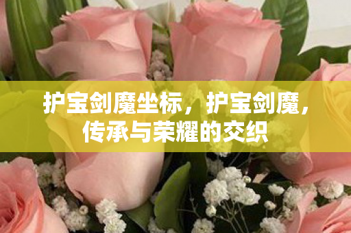 护宝剑魔坐标，护宝剑魔，传承与荣耀的交织