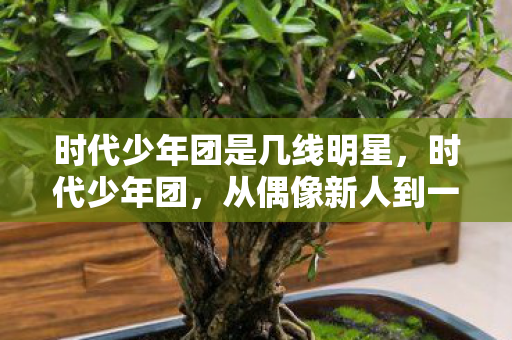 时代少年团是几线明星，时代少年团，从偶像新人到一线明星的蜕变之路