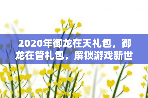 2020年御龙在天礼包，御龙在管礼包，解锁游戏新世界的神秘钥匙