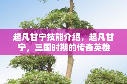 起凡甘宁技能介绍，起凡甘宁，三国时期的传奇英雄