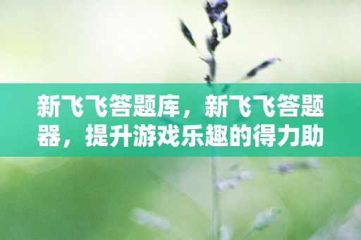 新飞飞答题库，新飞飞答题器，提升游戏乐趣的得力助手