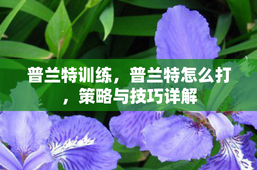 普兰特训练,普兰特怎么打,策略与技巧详解 普兰特训练,普兰特怎么打,策略与技巧详解