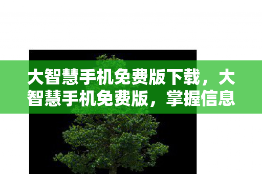 大智慧手机免费版下载，大智慧手机免费版，掌握信息，洞悉市场