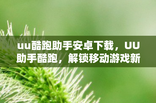 uu酷跑助手安卓下载，UU助手酷跑，解锁移动游戏新体验