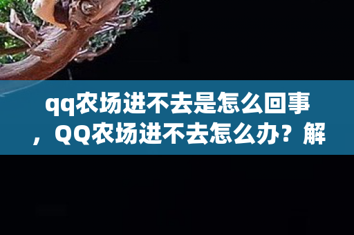 qq农场进不去是怎么回事,QQ农场进不去怎么办?解决攻略大放送! qq农场进不去是怎么回事,QQ农场进不去怎么办?解决攻略大放送!