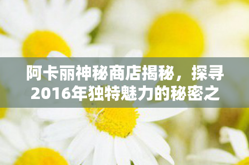 阿卡丽神秘商店揭秘，探寻2016年独特魅力的秘密之旅