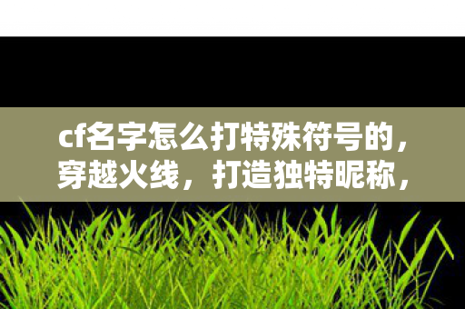 cf名字怎么打特殊符号的，穿越火线，打造独特昵称，解锁特殊符号技巧