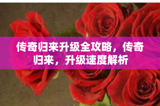 传奇归来升级全攻略，传奇归来，升级速度解析