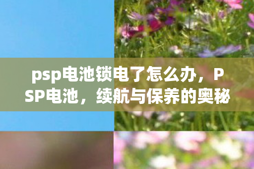 psp电池锁电了怎么办,PSP电池,续航与保养的奥秘 psp电池锁电了怎么办,PSP电池,续航与保养的奥秘