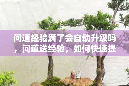 问道经验满了会自动升级吗，问道送经验，如何快速提升游戏等级