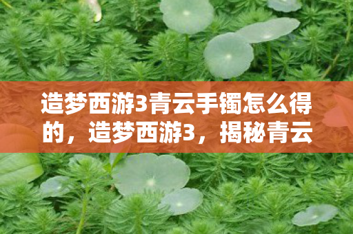 造梦西游3青云手镯怎么得的，造梦西游3，揭秘青云手镯的获取之道