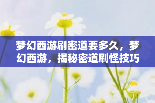 梦幻西游刷密道要多久，梦幻西游，揭秘密道刷怪技巧，提升游戏效率