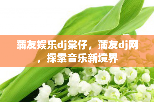蒲友娱乐dj棠仔，蒲友dj网，探索音乐新境界